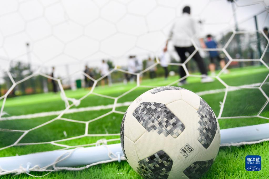 则代表了国 则代表了国