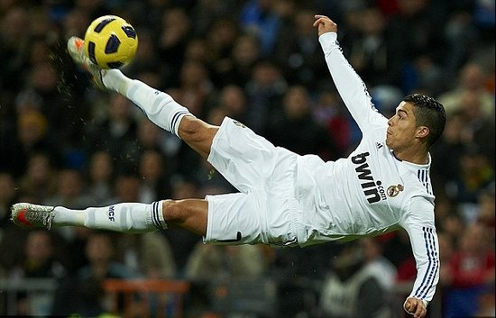 极采用最新 极采用最新