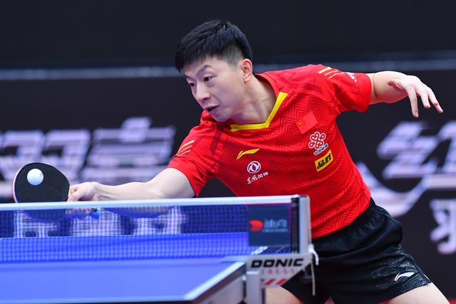 帕尔默身价 帕尔默身价